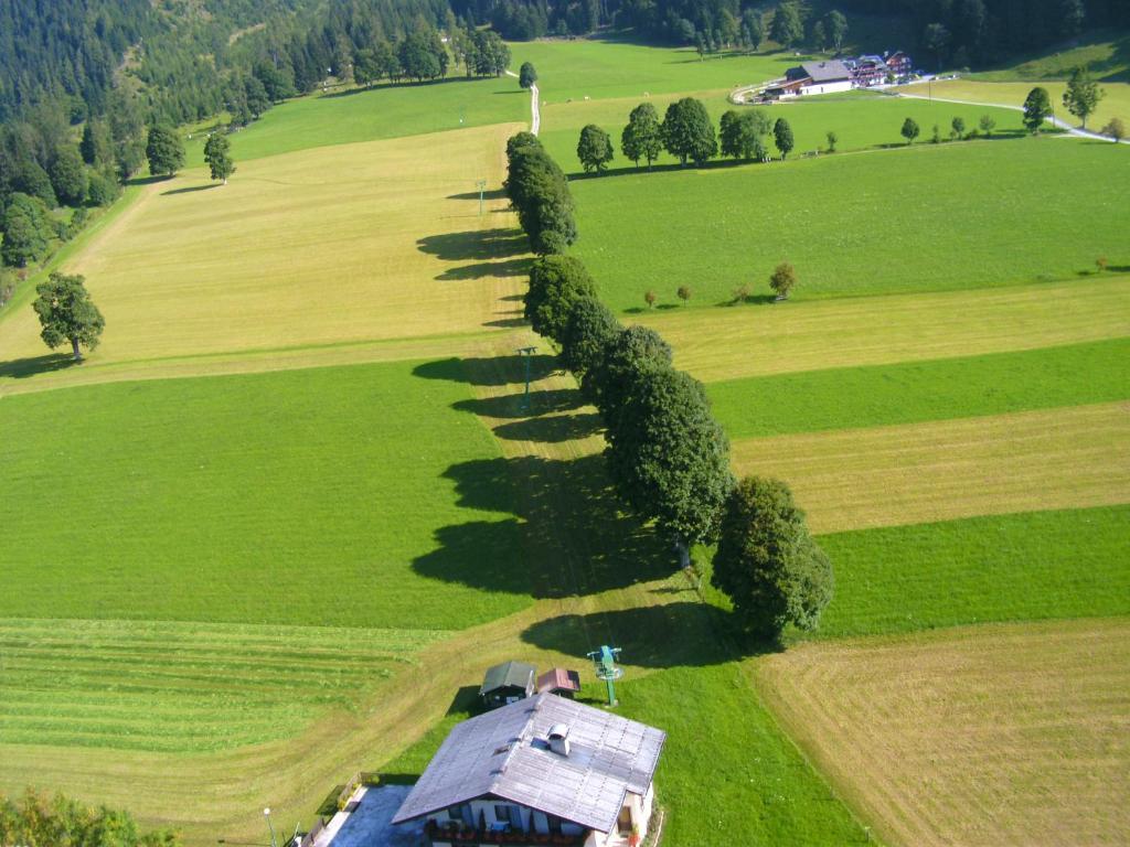 Ferienhotel Knollhof Ramsau am Dachstein Eksteriør bilde