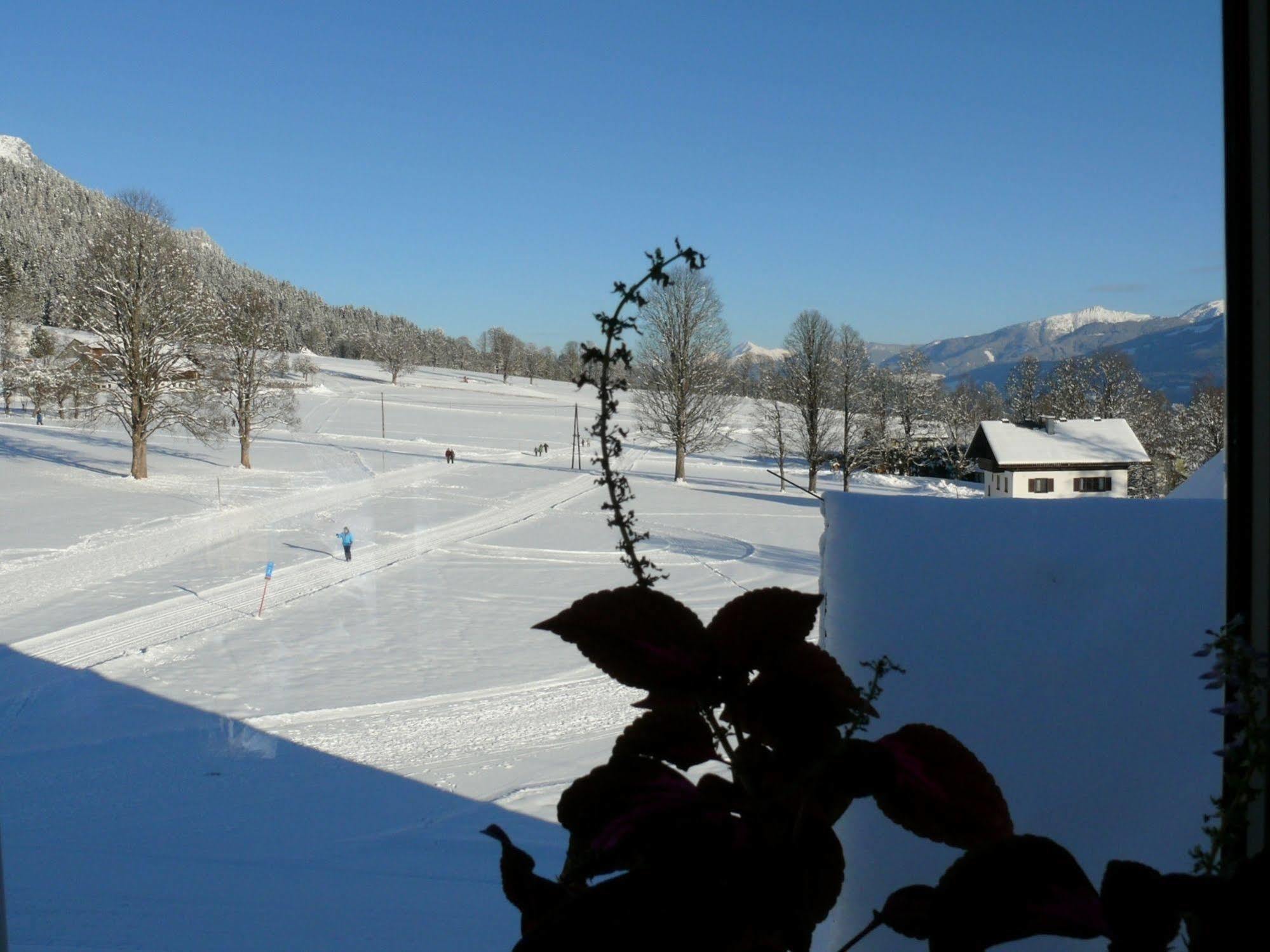 Ferienhotel Knollhof Ramsau am Dachstein Eksteriør bilde